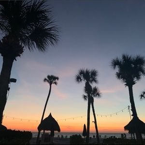 Meet your Posher, Jodi